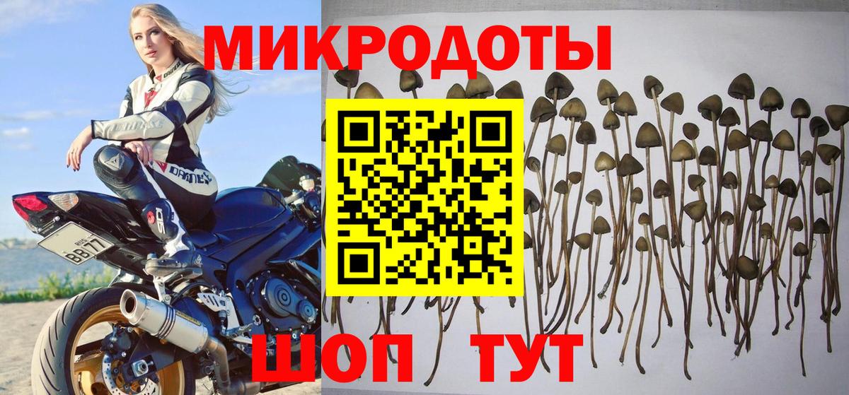 Галлюциногенные грибы мицелий  Псилоцибиновые грибы Psilocybe  где можно купить   Вход с VPN  Крымск 